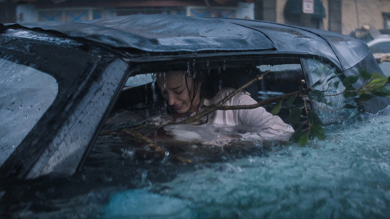 Ani Saldırı afişi