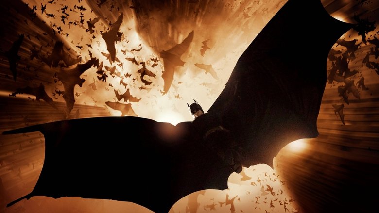 Batman Başlıyor afişi